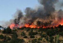 Летото ги запали алармите: Пожарот во Штип ја отвори сезонската дебата за подготвеноста против огнените стихии