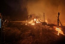 Огнот проголта до 30 хектари борова шума и вегетација кај Штип