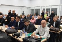 Го оспори својот потпис, Шабан Салиу не потпишал дел од контролите на ДЗС за „Пулс“: