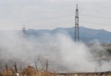 Вардариште интензивно се одгаснува