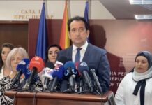 Влен: Не може дијаспората само да испраќа пари, треба и да гласа