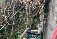 1.200 пациенти завршија во болница во Гостивар, зашто „Водовод“ заедно со Општината поставиле 3 пумпи во корито со отпадни води, се сомнева МВР