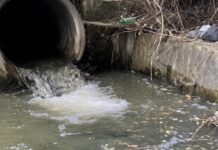 Еве што пиеле гостиварчани – Во водата се наоѓала буквално бактерија која ја има во измет